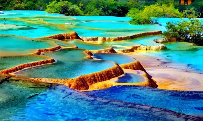 Five-Color Pond