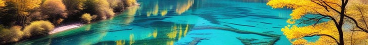 spot_img
